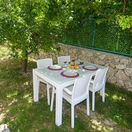 Hotel Roza 4*
